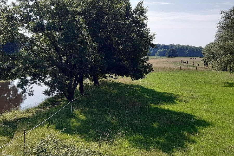 Blick flussaufwärts von der Allerbrücke