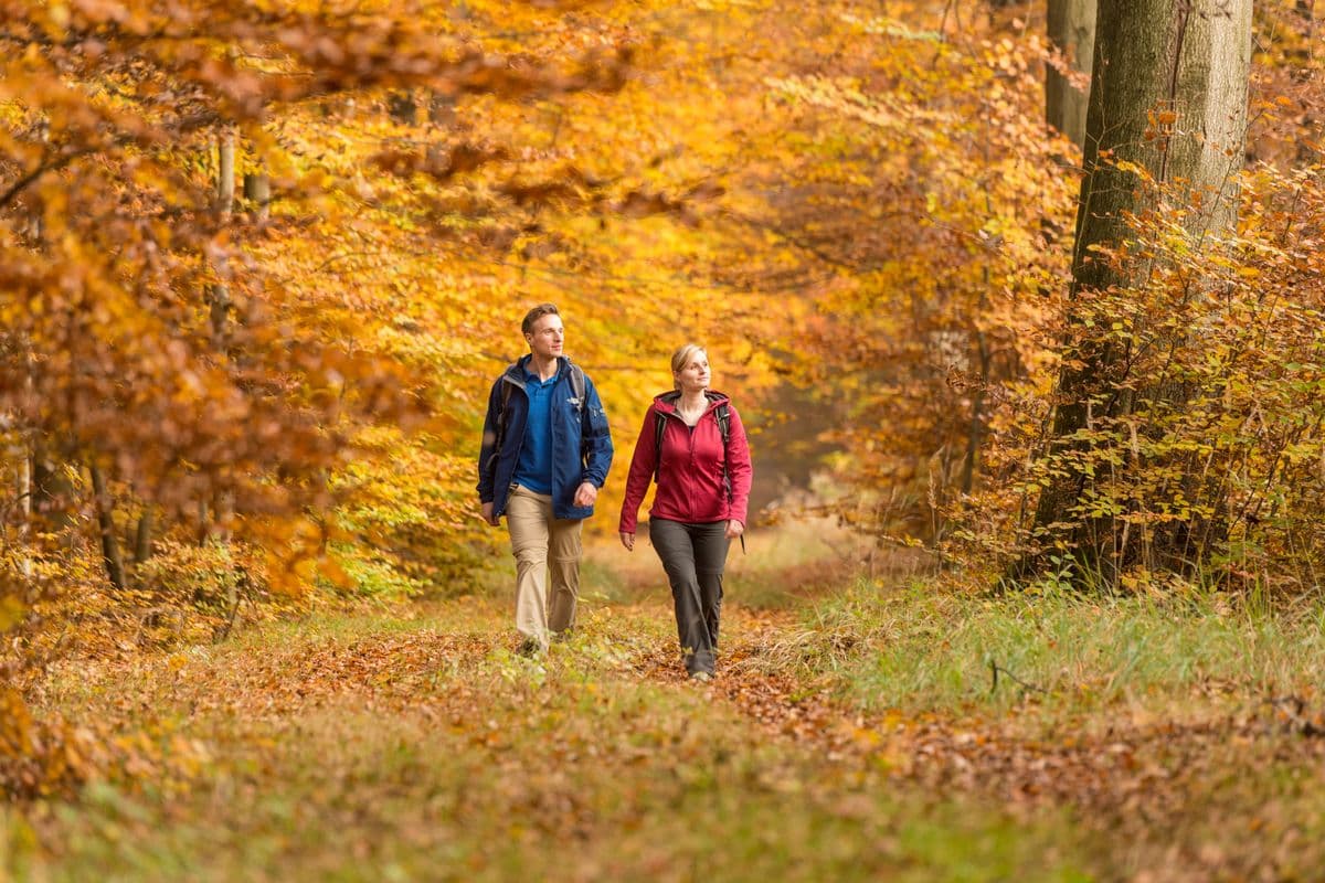 Wanderer im Wald