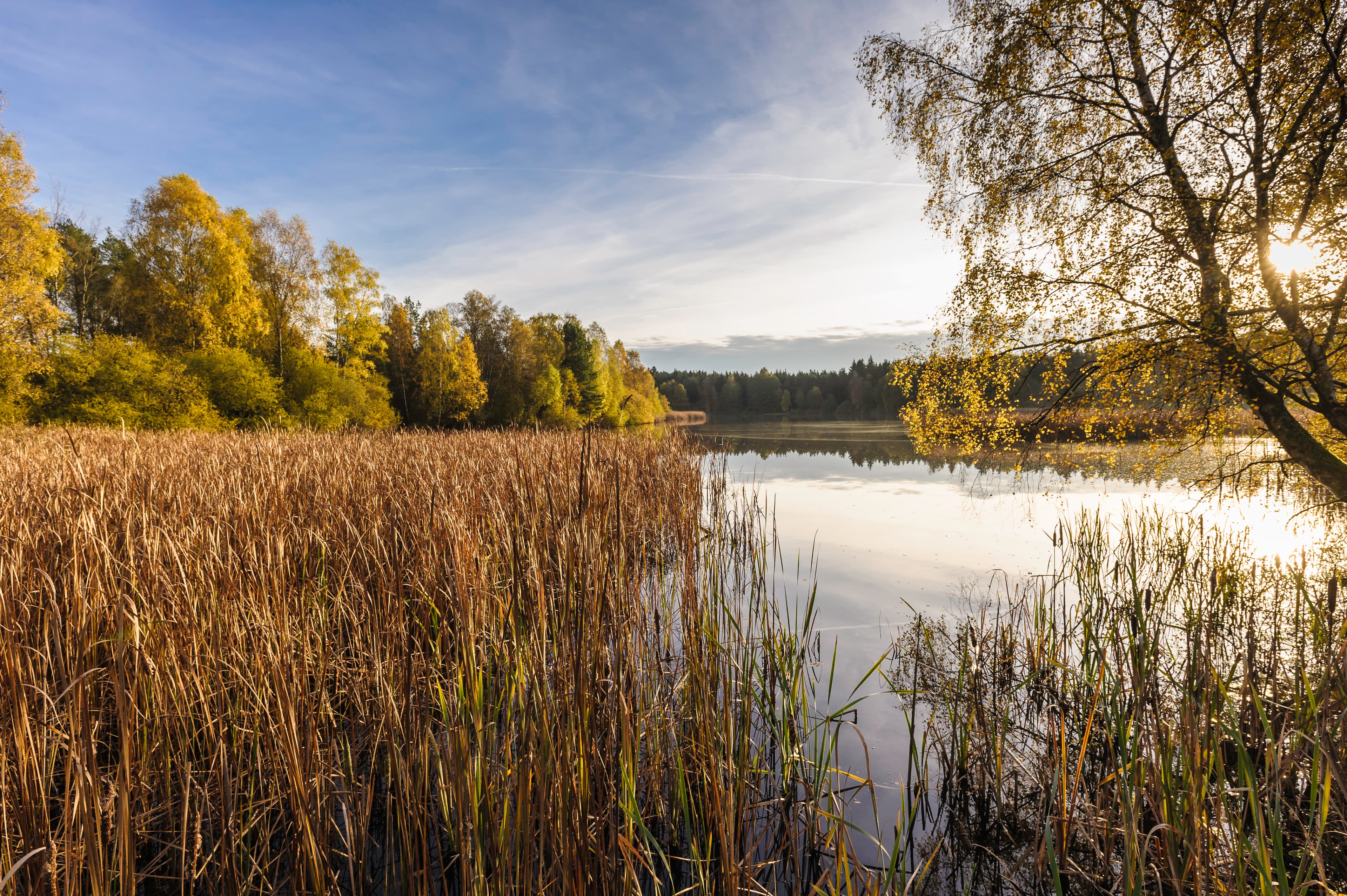 Aschauteiche im Herbst