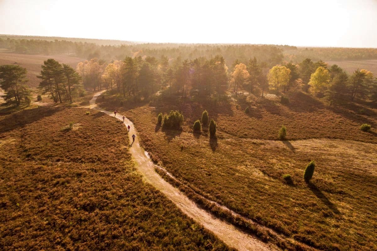 Tiefental, Misselhorner Heide, Hermannsburg