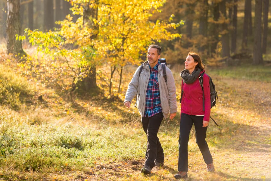 Herbst Wald Mann Frau Wanderer