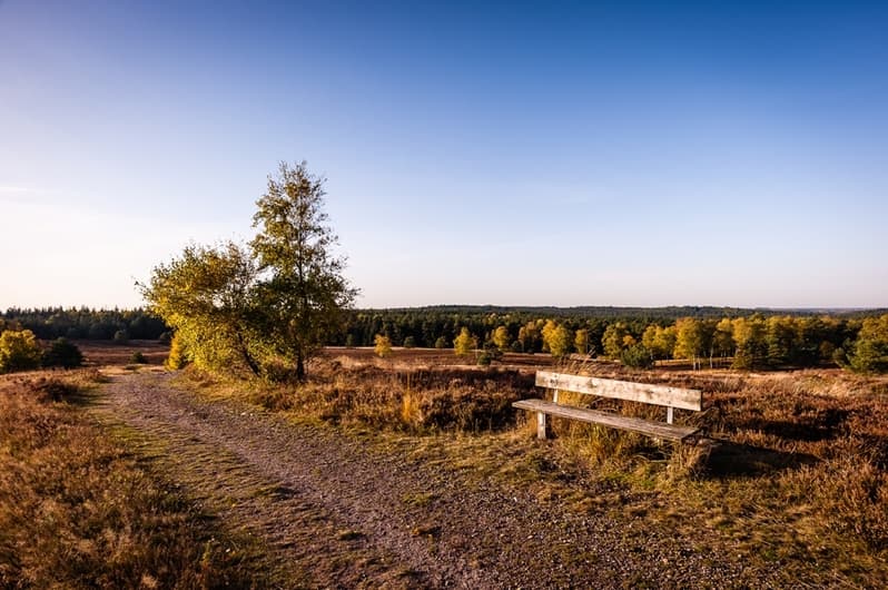 Der Brunsberg im Herbst