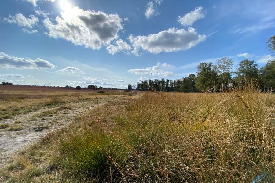 Oberoher Heide im Herbst