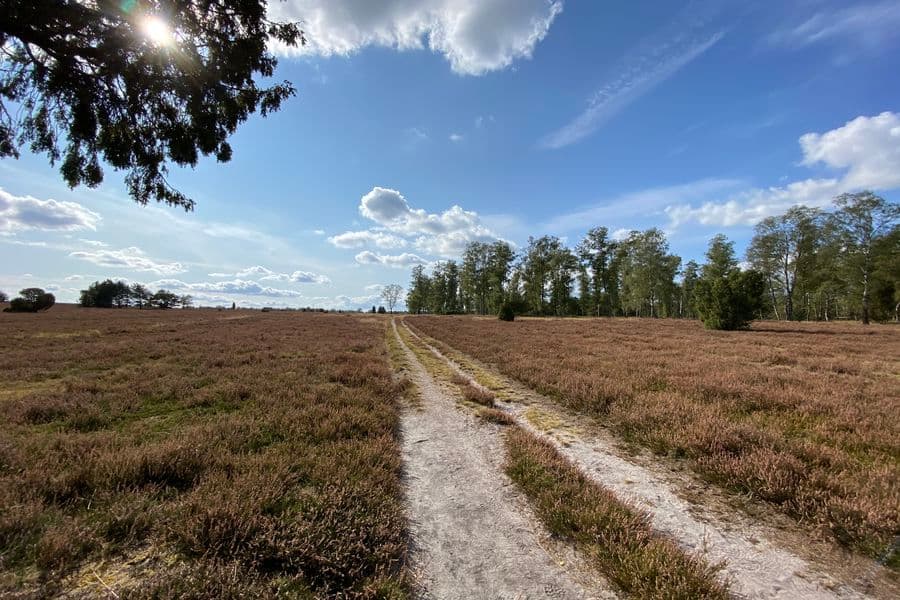 Oberoher Heide im Herbst