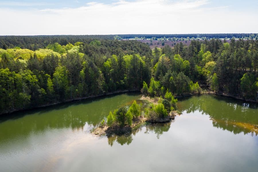 Kieselgurteich in der Oberoher Heide