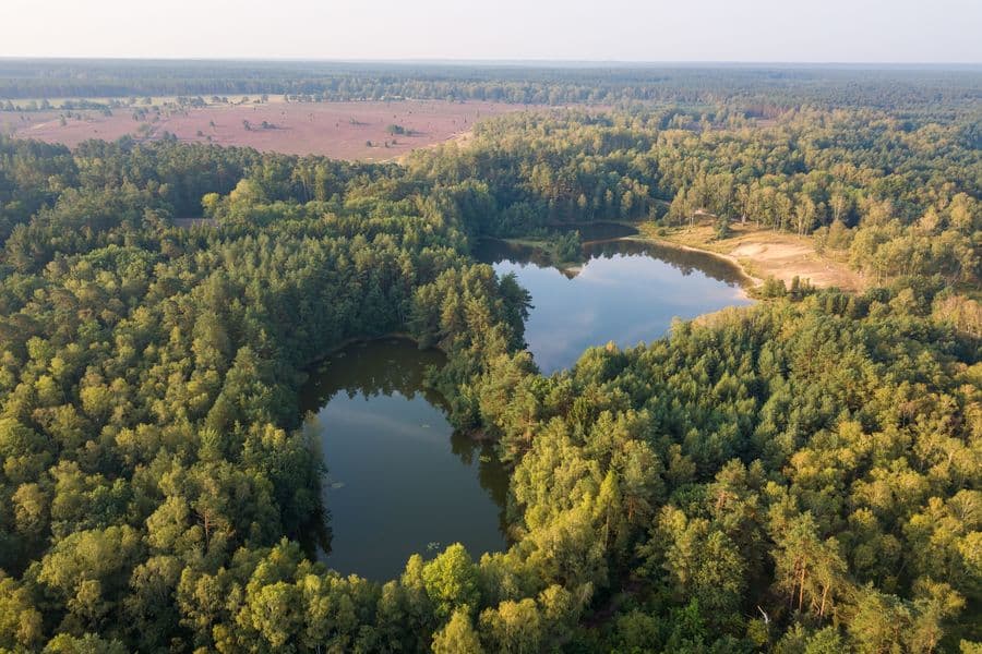 Luftaufahme der Kieselgurteiche