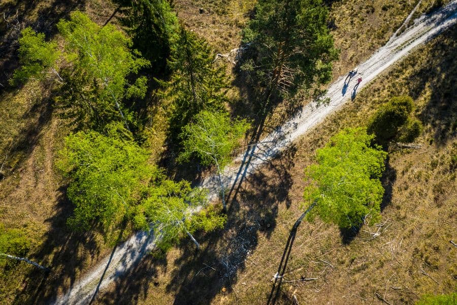 Frühlingswandern auf dem Naturerlebnispfad Südheide