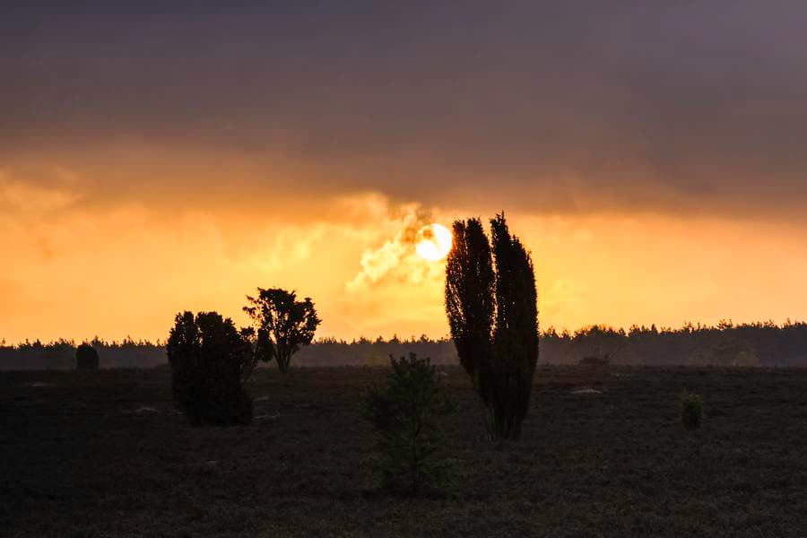 Abendstimmung auf dem Naturerlebnispfad Südheide