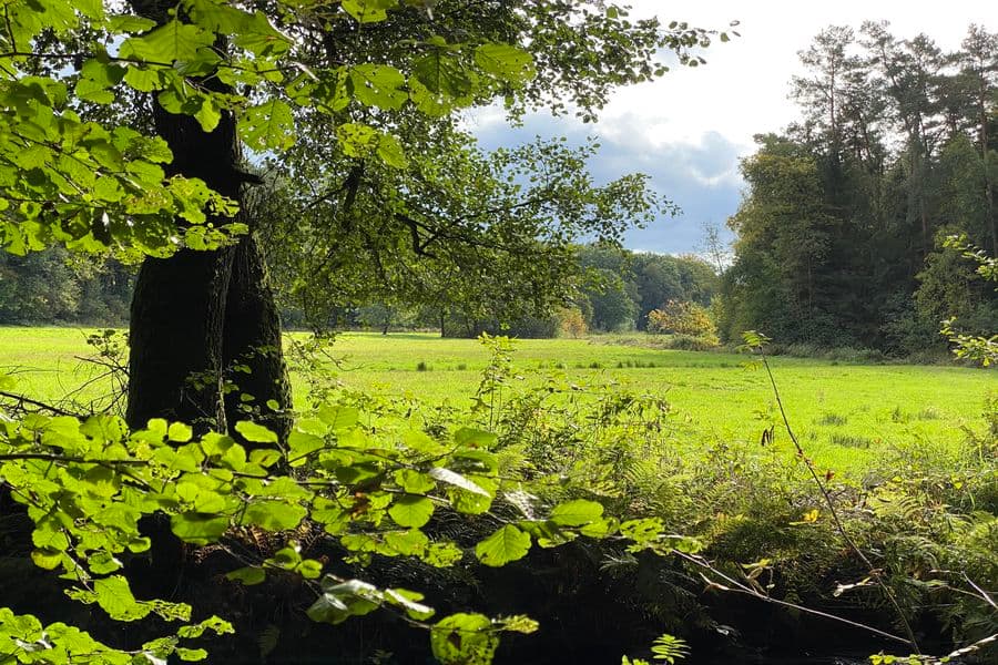 Traumhafte Herbstkulisse