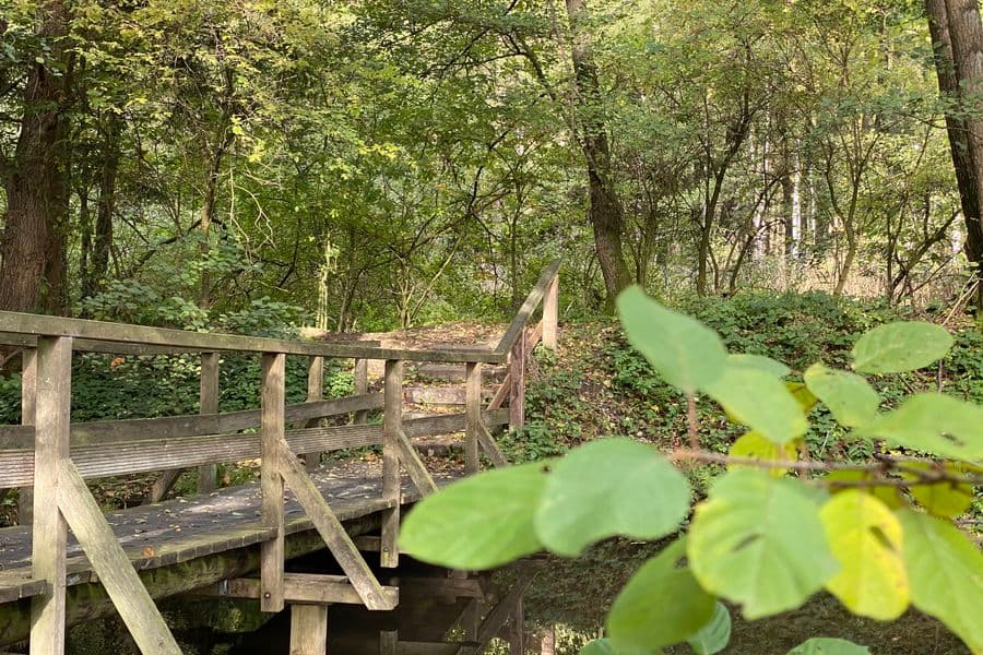 Flusspfad Brücke in Poitzen