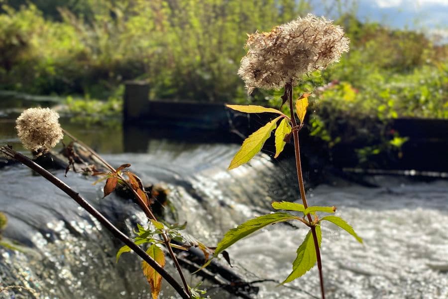 Schleuse an der Rieselwiese