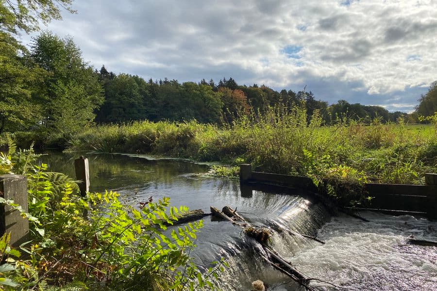 Schleuse an der Rieselwiese