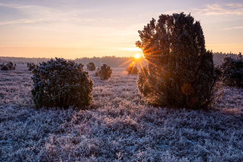 Winterlicher Sonnenaufgang