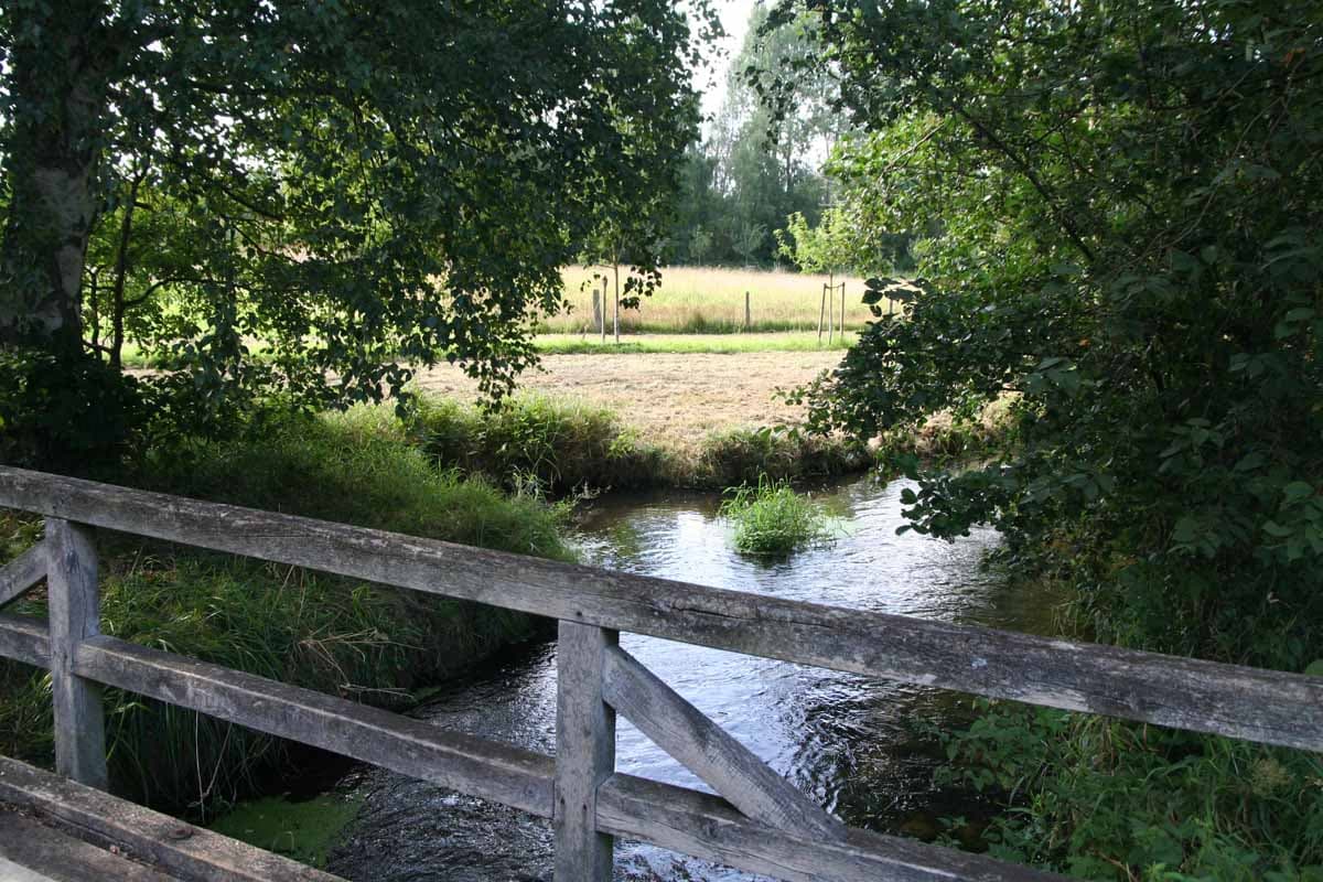Der Ilmenauradweg bei der Rieselwiese südlich von Suderburg