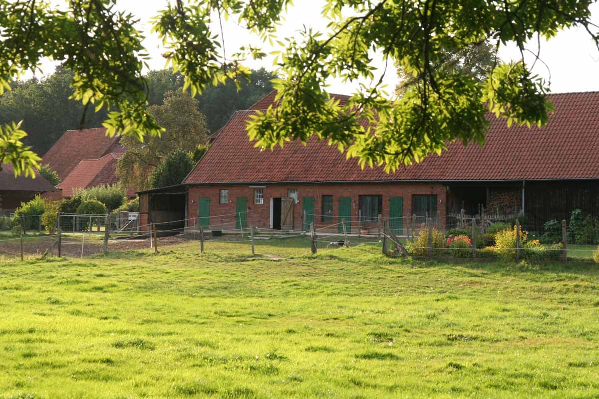 Ländliche Idylle am Ilmenauradweg in Holxen