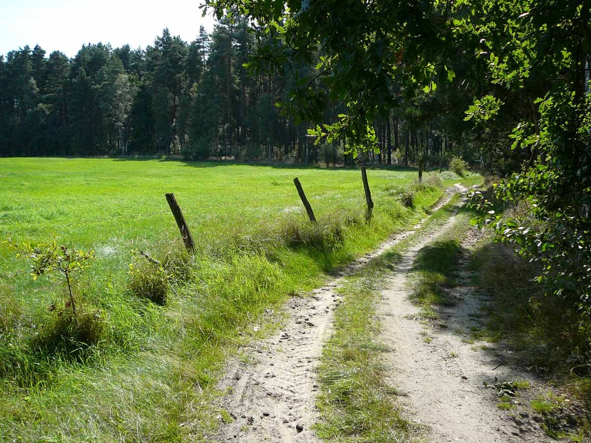 Der Ilmenauradweg nördlich von Bienenbüttel