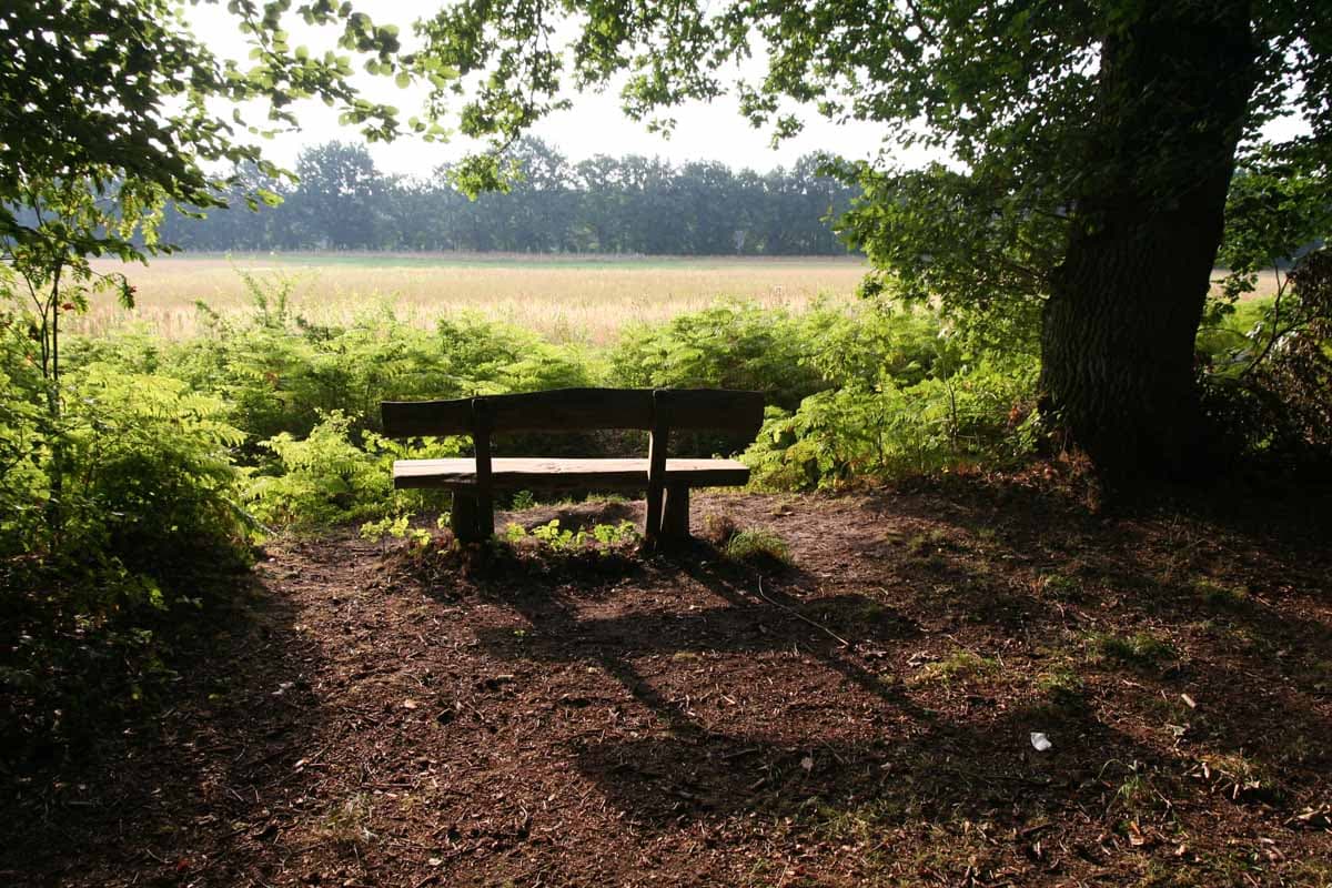 Ausblick am Ilmenauradweg bei Lüneburg