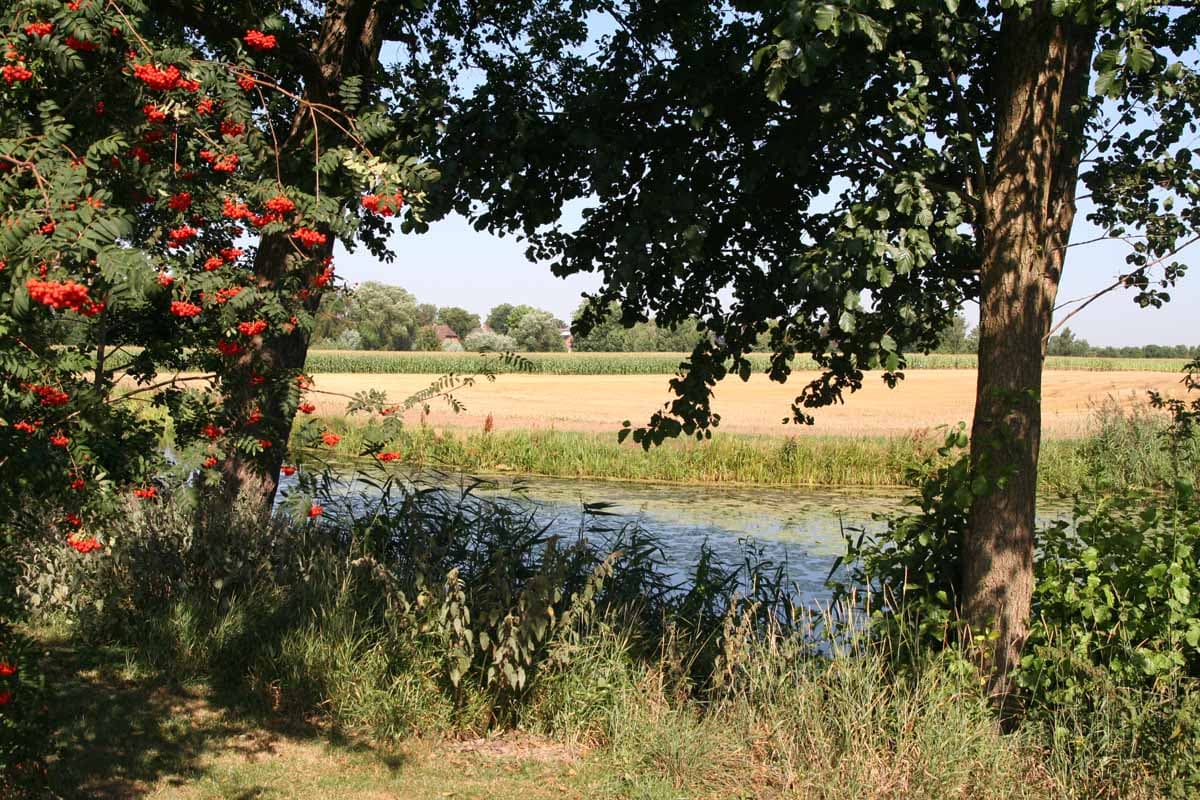 Die Alte Ilmenau bei Tönnhausen