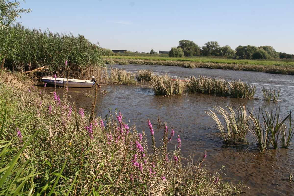 Impression am Ilmenauradweg bei Stöckte