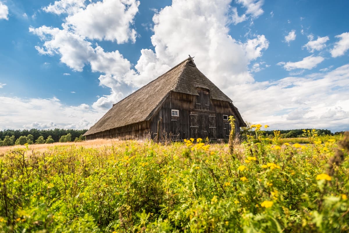 Weseler Heide bei Undeloh, Schafstall