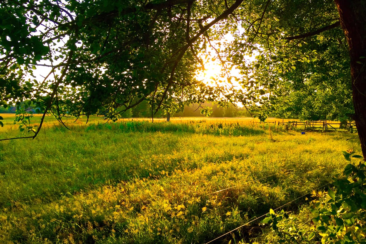 Lindhorst-Seevetal-Nordheide-Felder