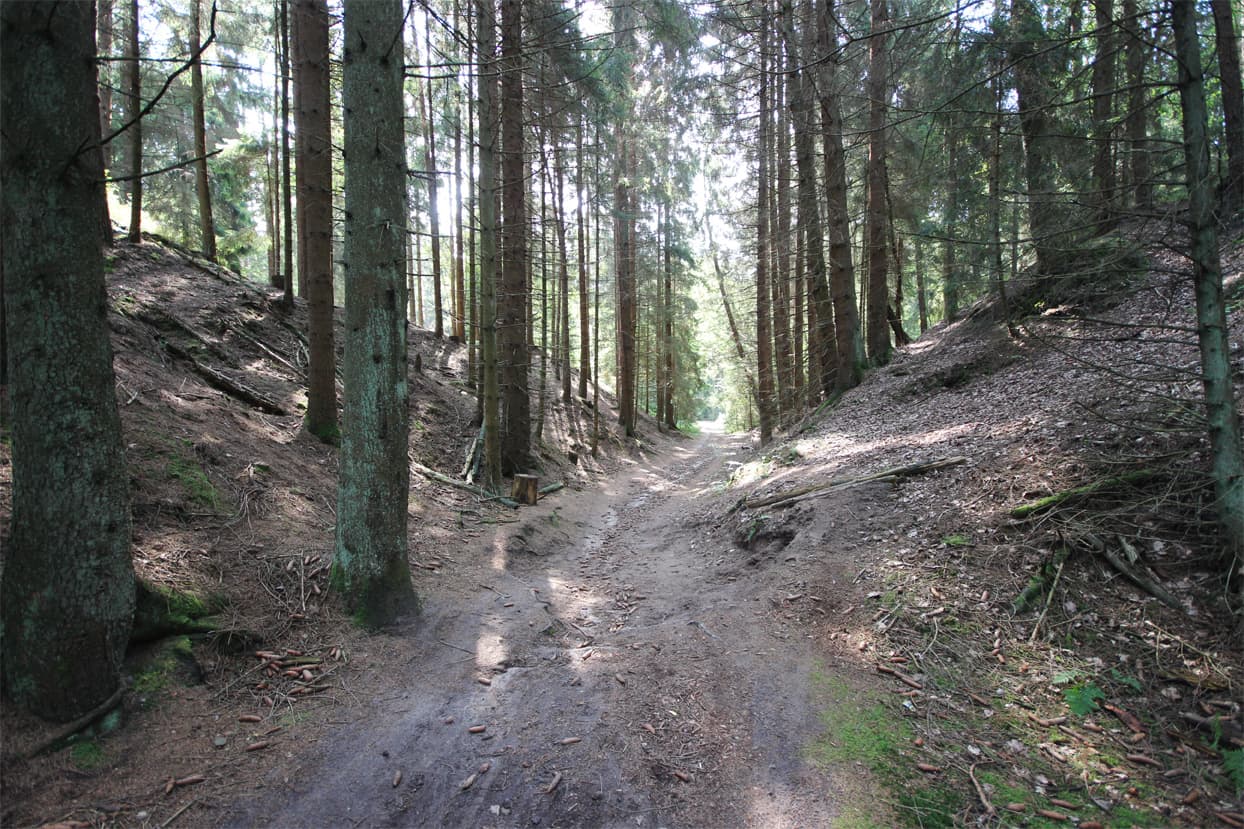 Heidschnuckenweg zur Höllenschlucht