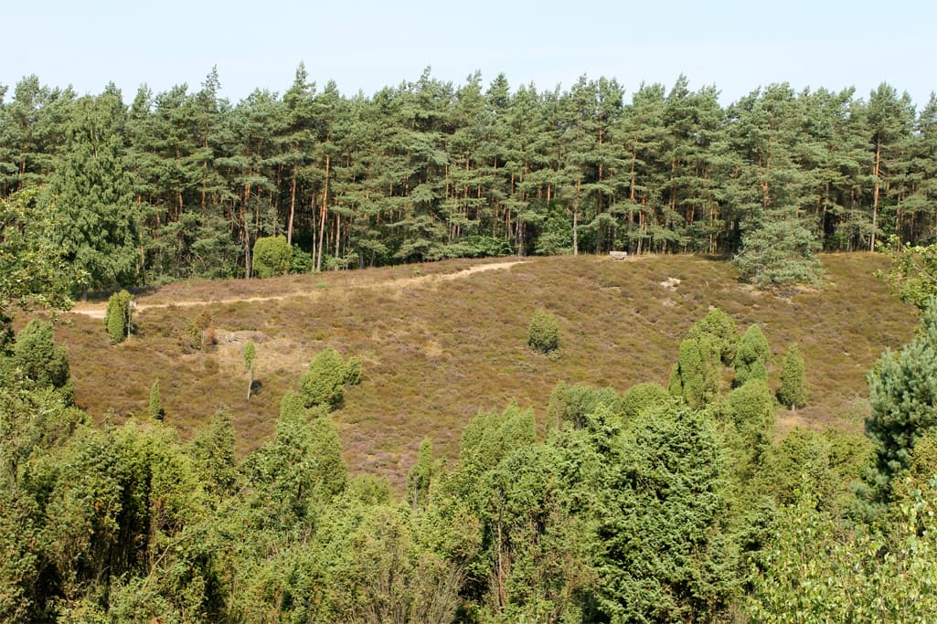 Borsteler Kuhlen am Heidschnuckenweg