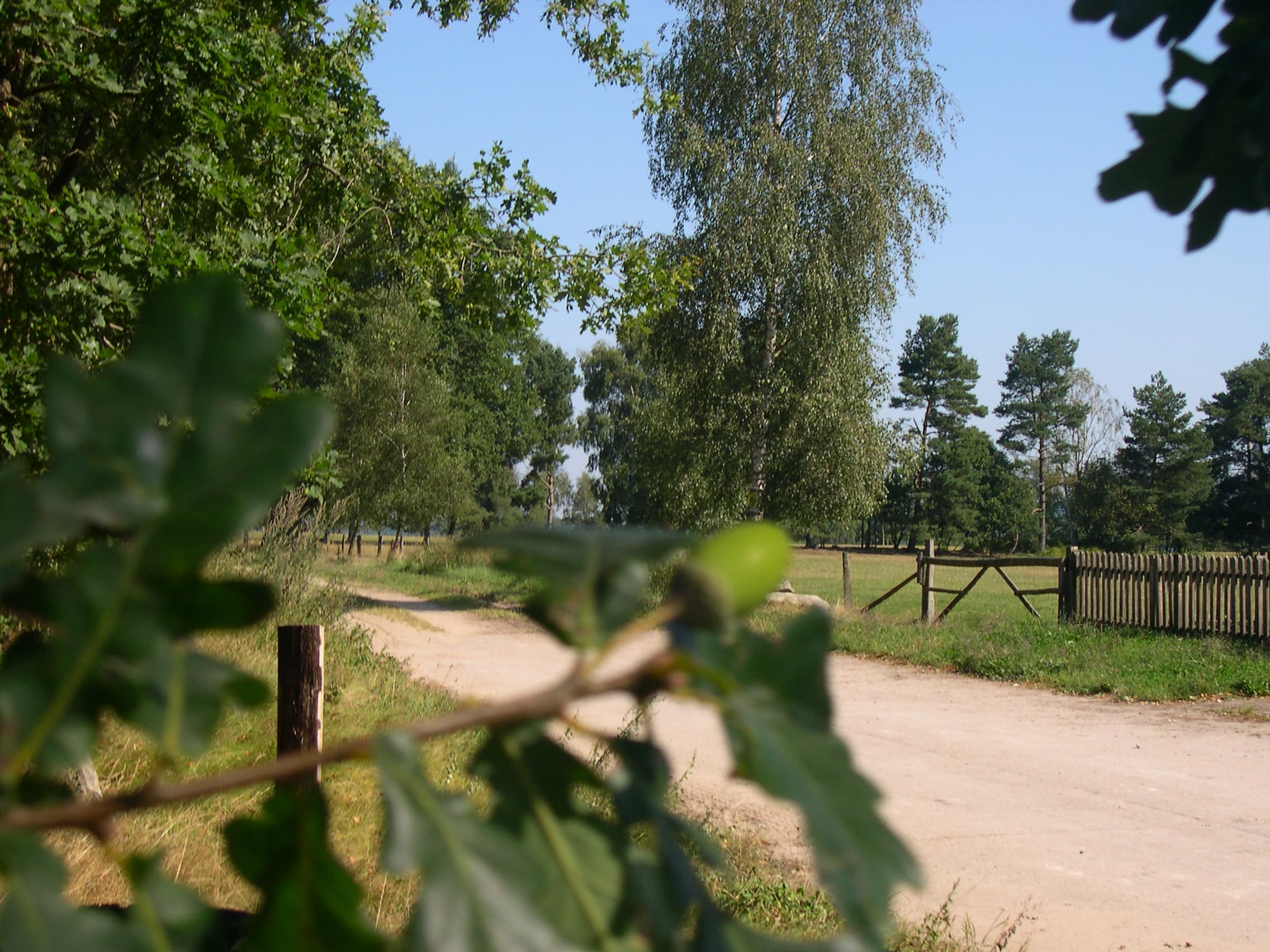 Entlang des Heidschnuckenweges