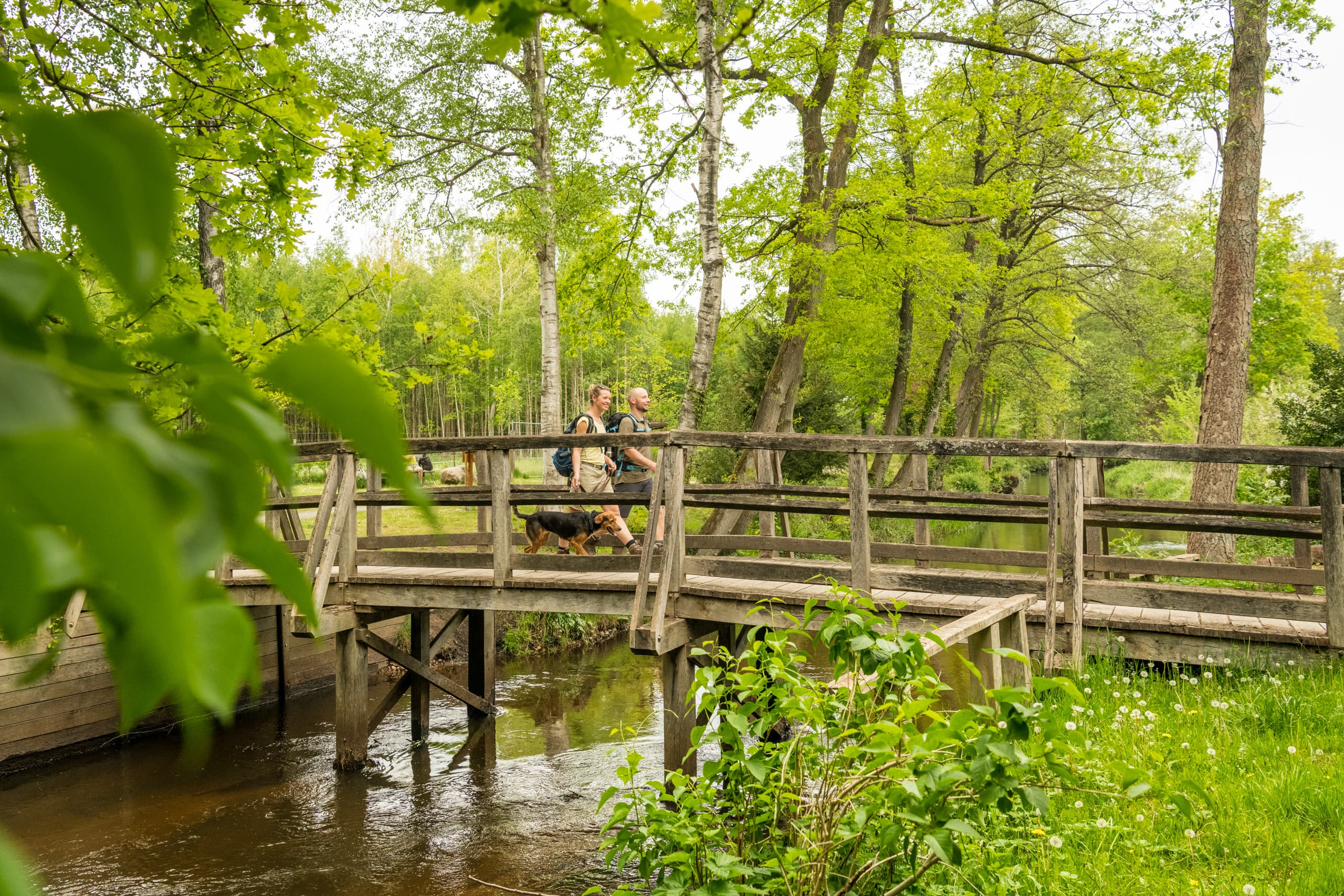 An der Örtze in Müden am Heidschnuckenweg