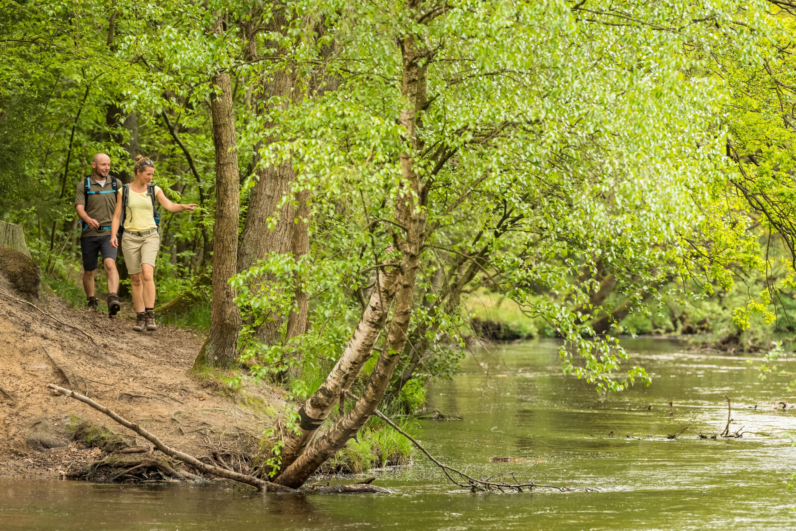 Wandern an der Örtze