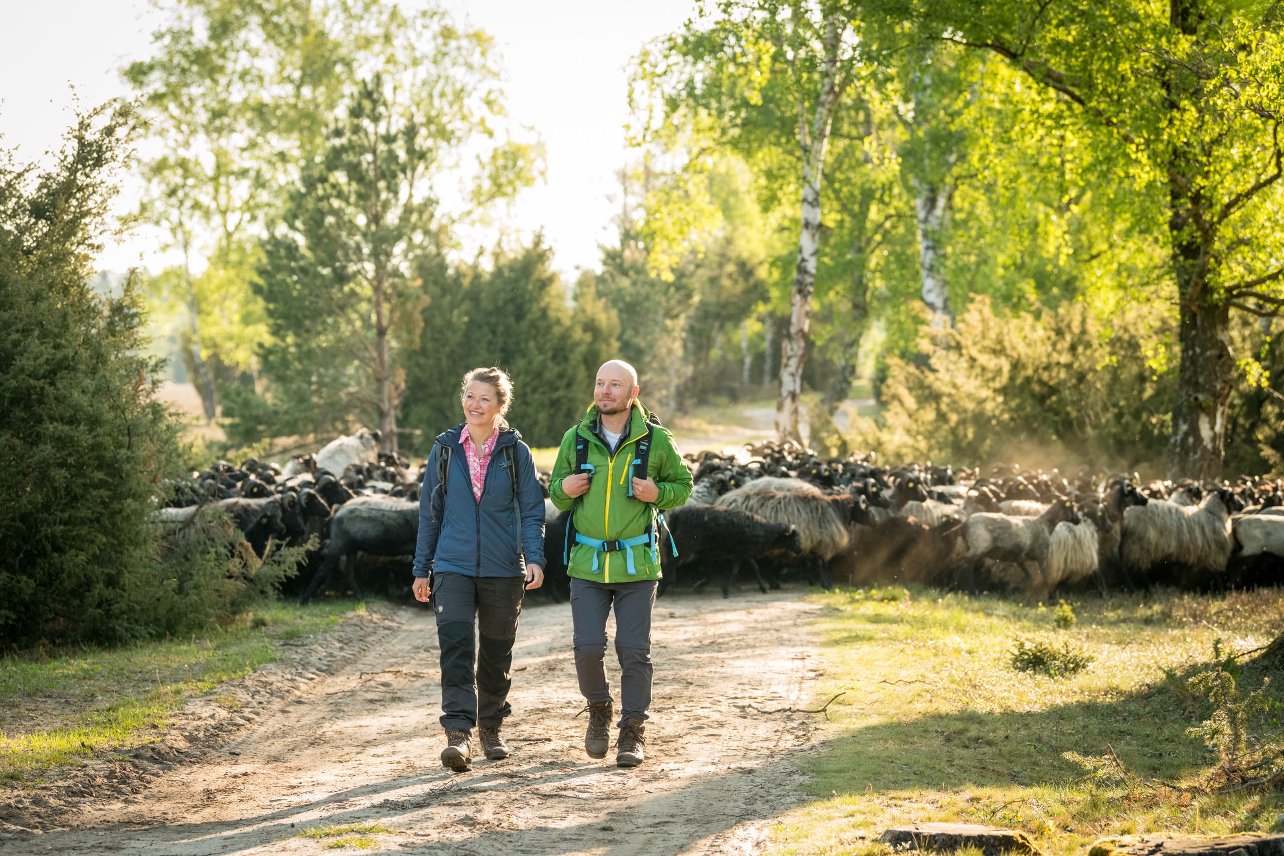 Wandern in der Oberoher Heide bei Müden (Örtze)