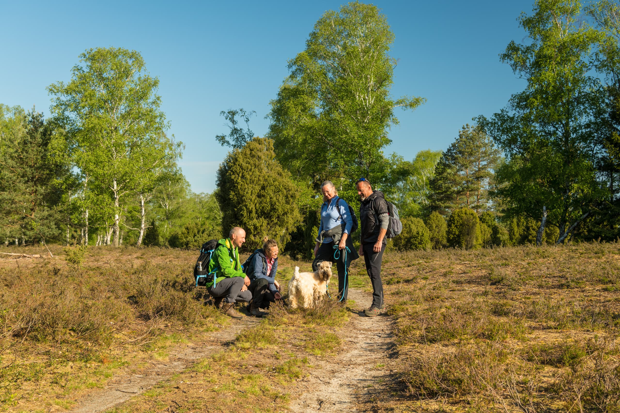 Wandern mit Hund in der Oberoher Heide