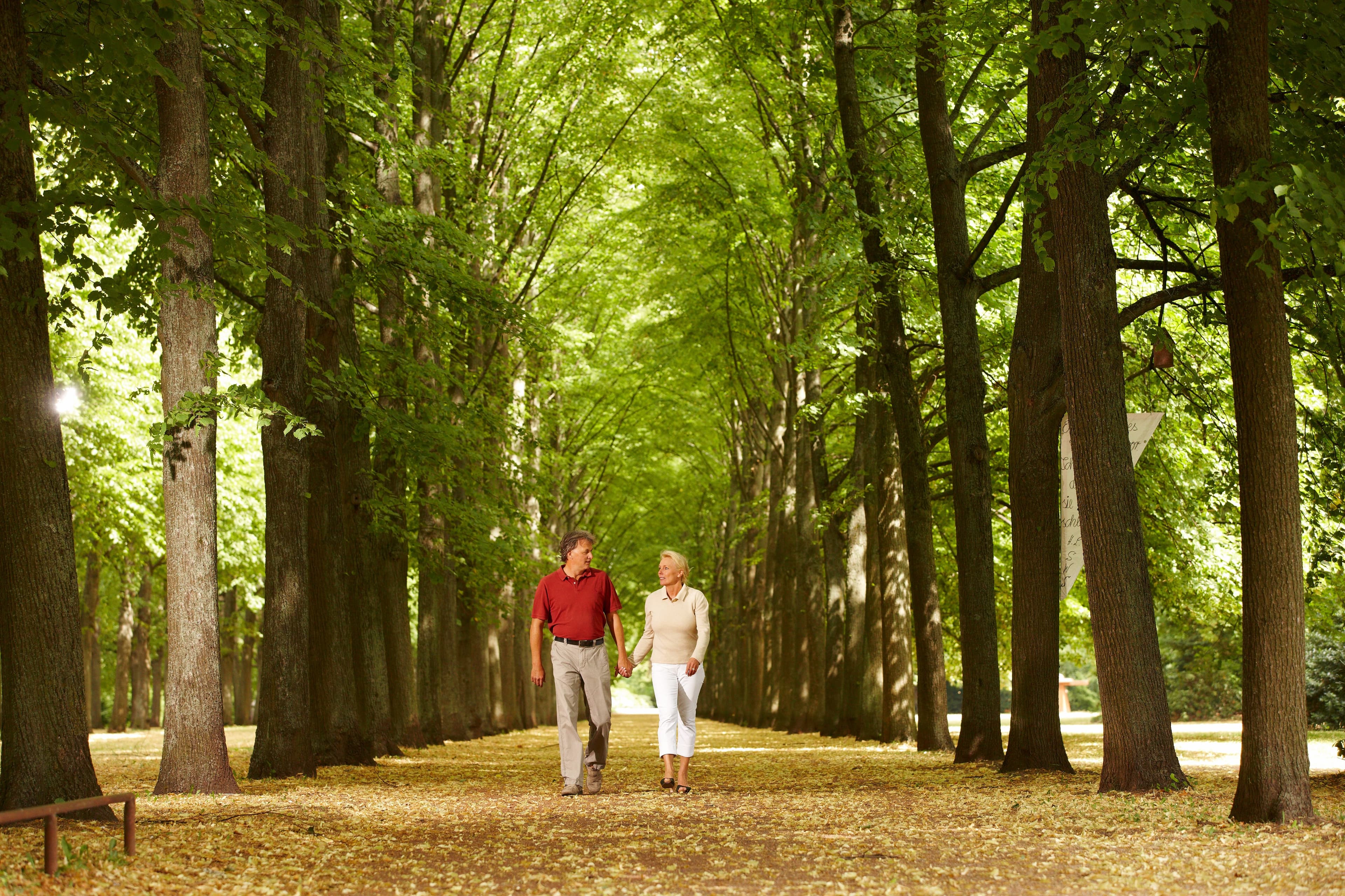 Französischer Garten in Celle Altstadt Residenzstadt Kultur Stadturlaub
