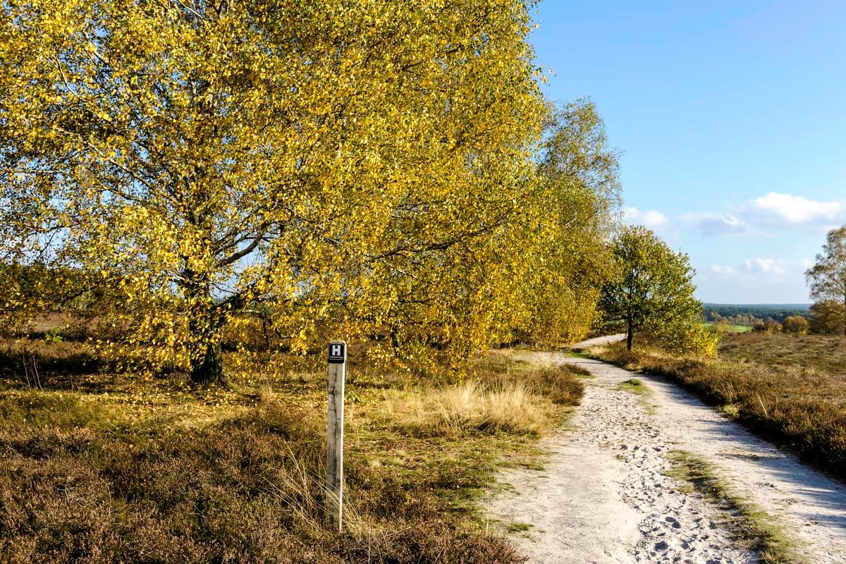 Wanderweg am Wietzer Berg