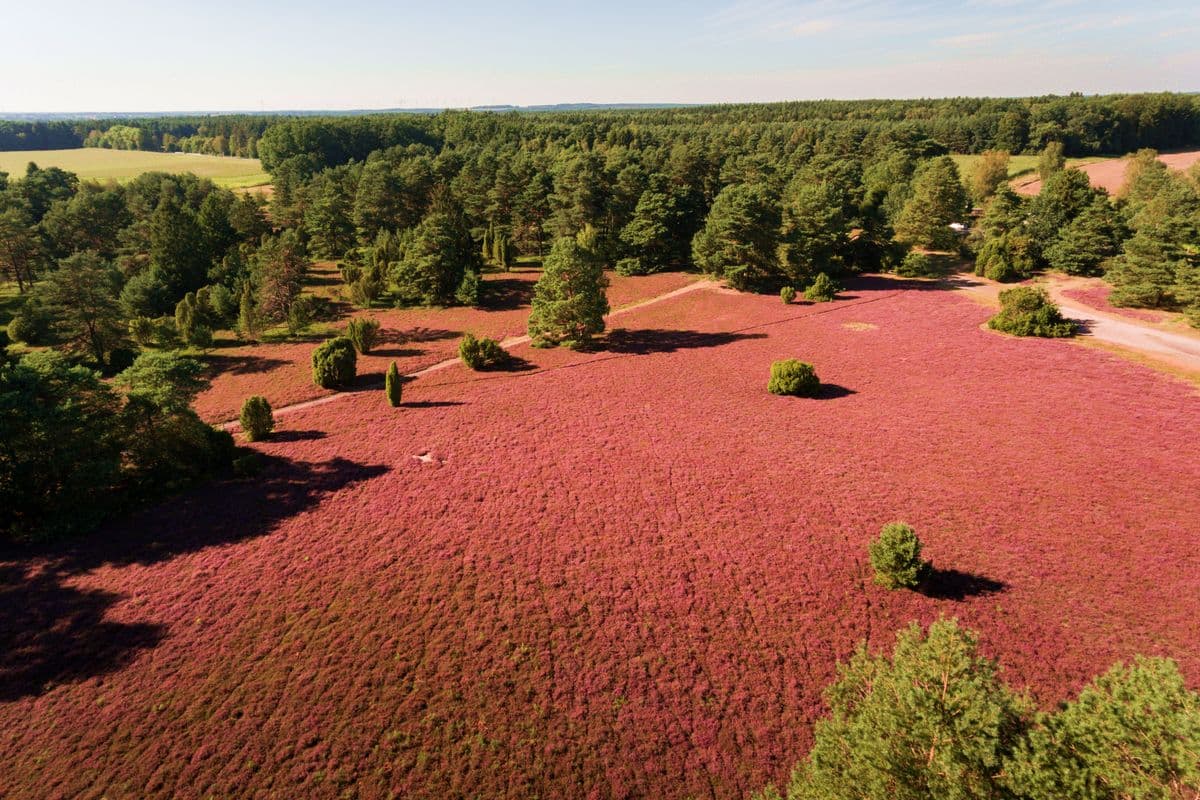 Luftaufnahme der Misselhorner Heide