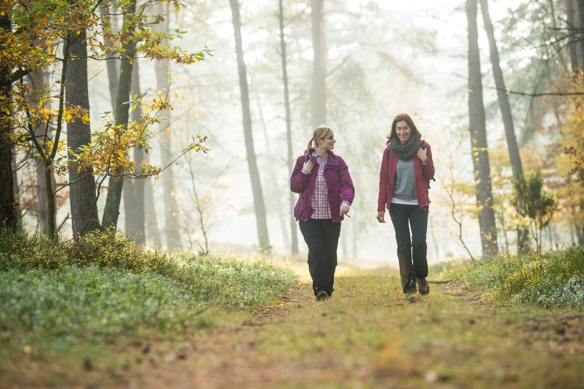 Wandern im Herbst