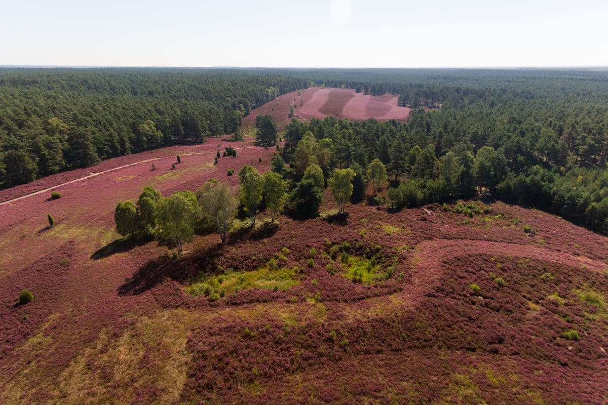 Tiefental bei Hermannsburg