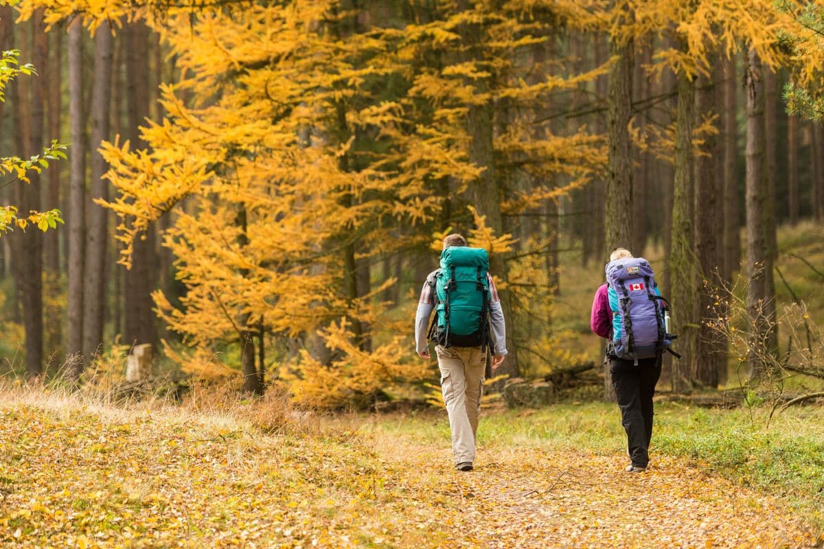 Wandern im Herbst