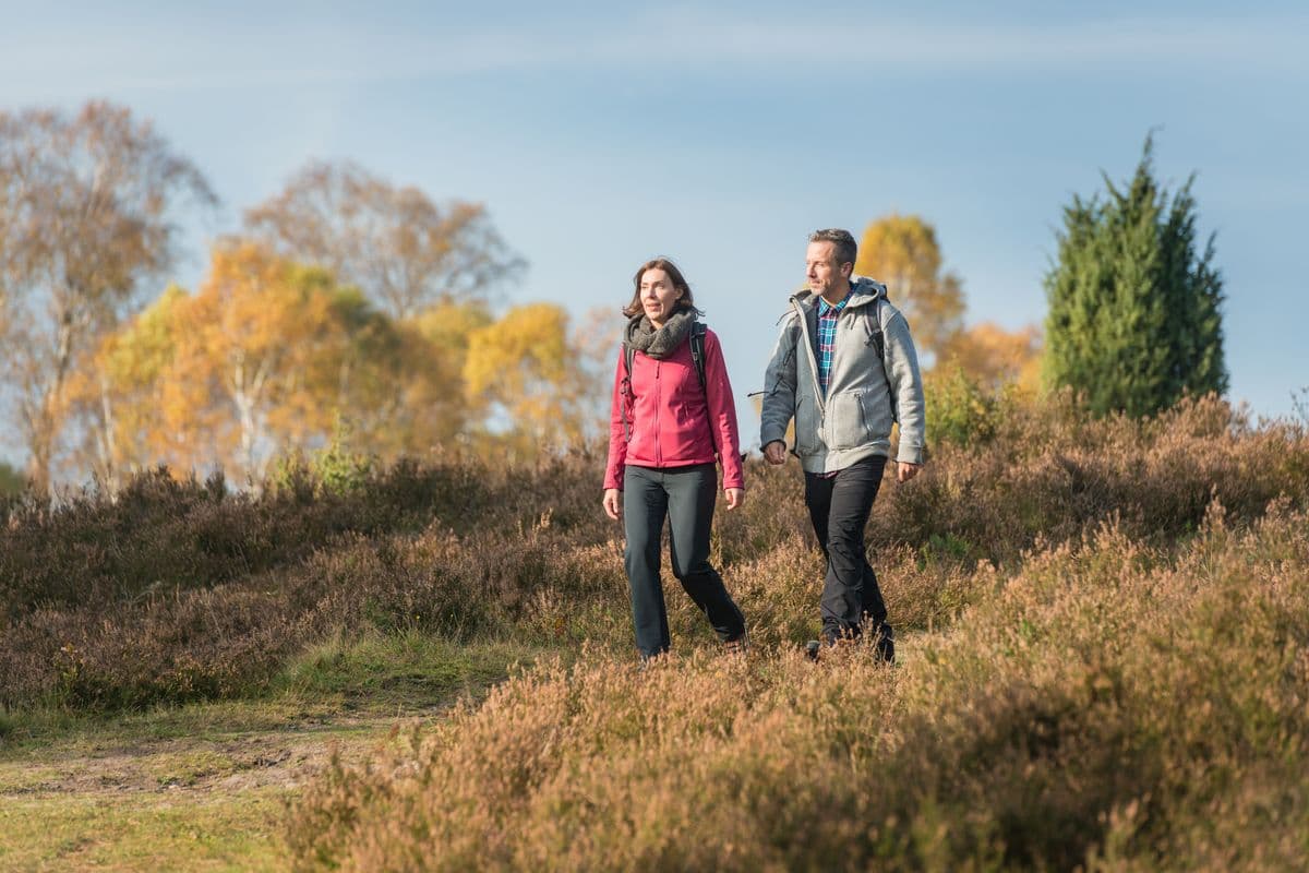 Wandern durch die Heide am Tiefental