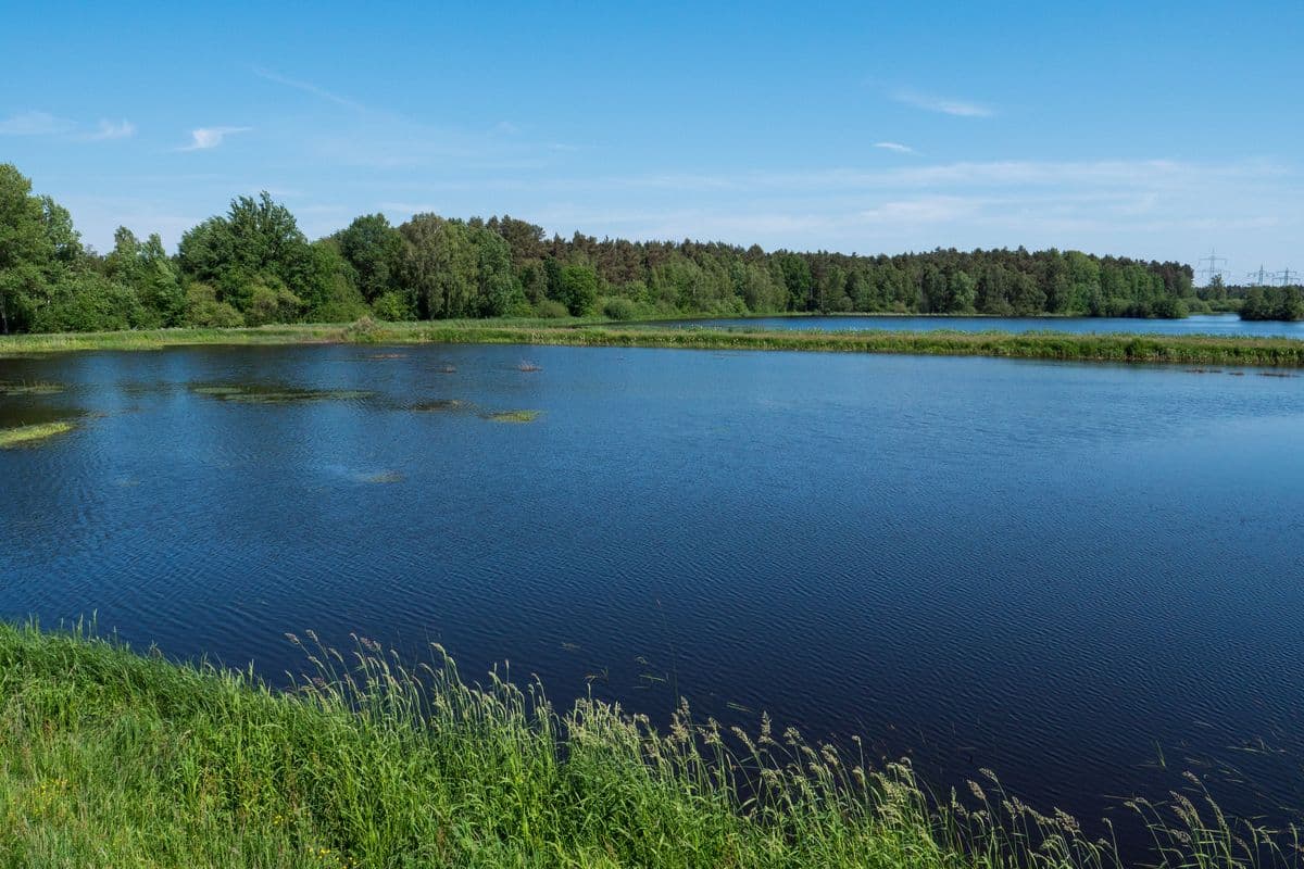 Aschauteiche bei Eschede