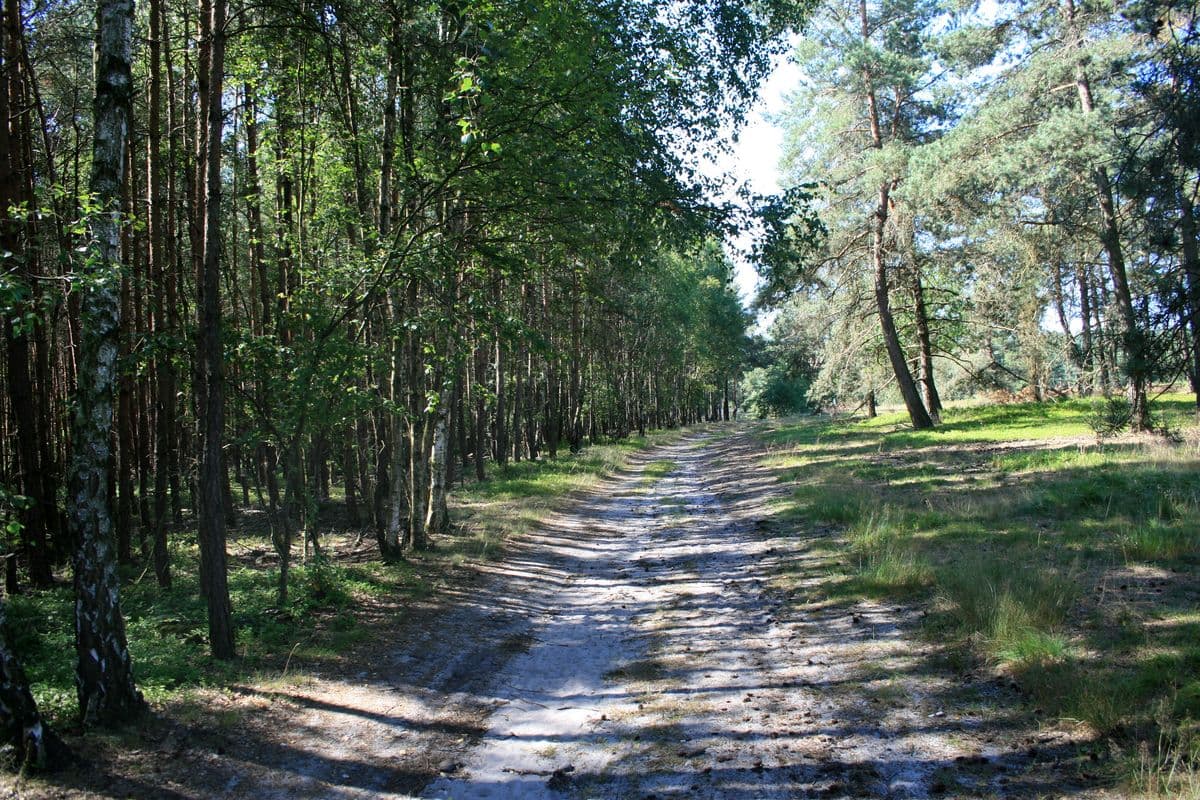 Wanderweg am Haußelberg