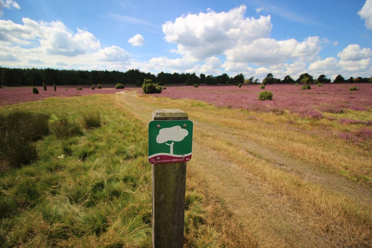 Wegweiser "Wo der Wald mit der Heide kusselt"