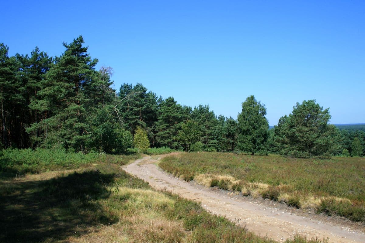 Wanderweg am Haußelberg