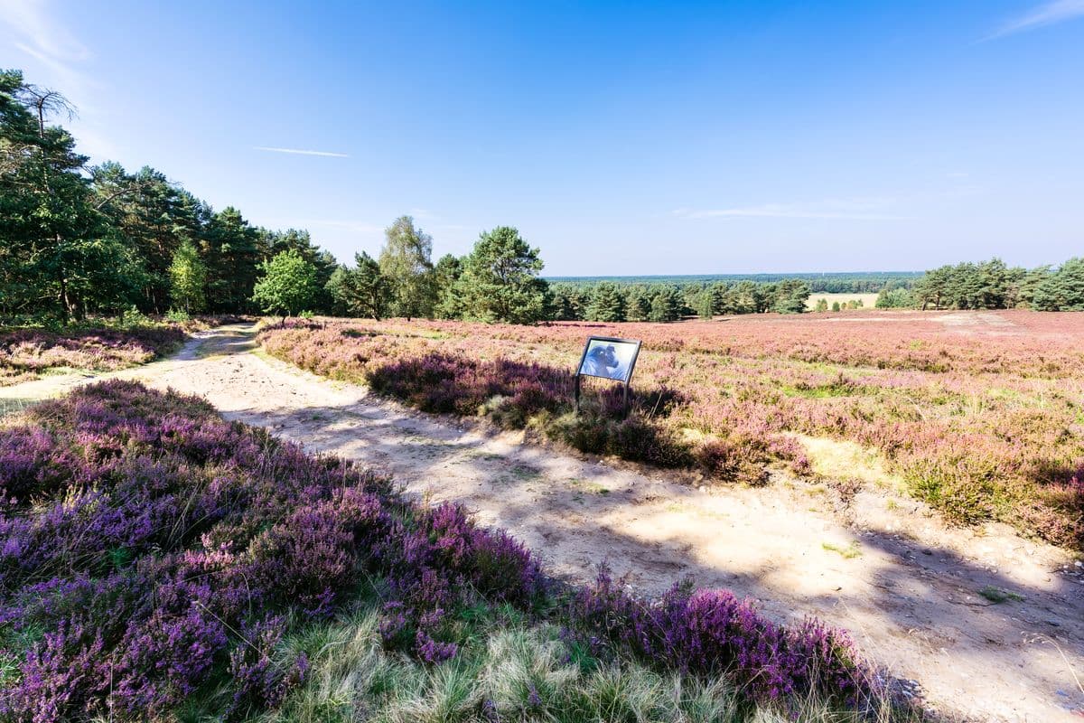 Wanderweg am Haußelberg