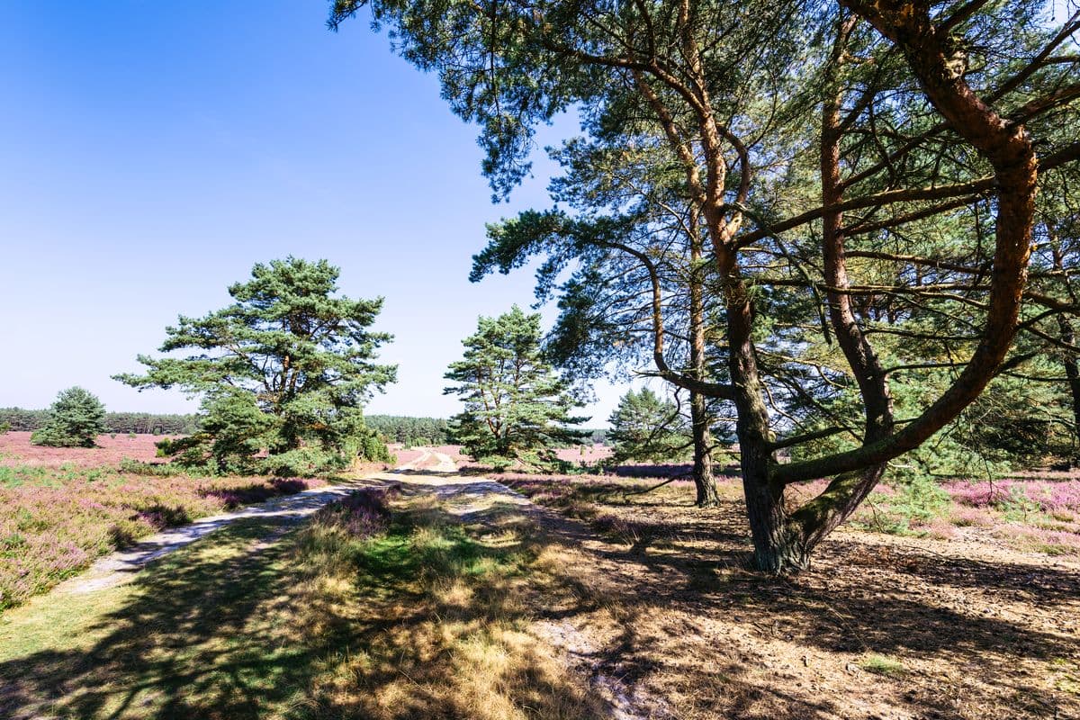 Wanderweg am Haußelberg