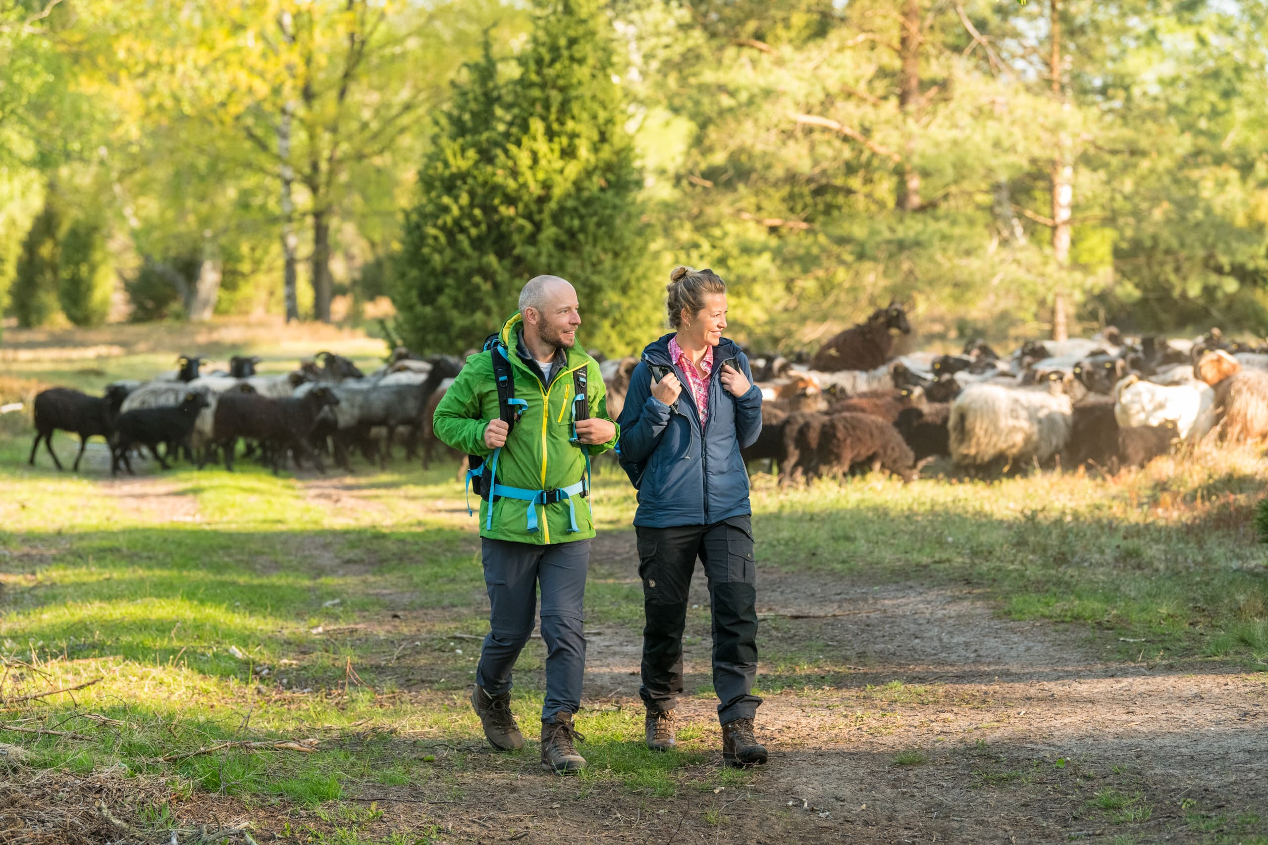 In der Oberoher Heide bei Müden (Örtze)