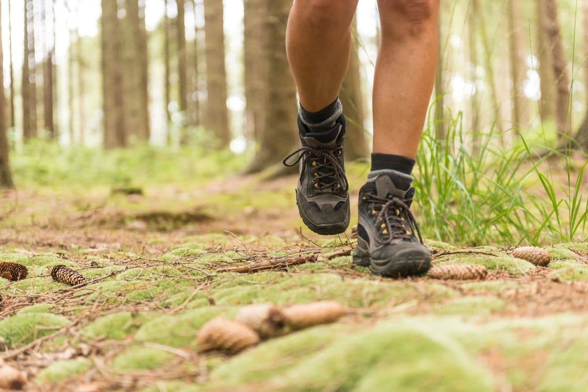 Wandern auf dem Fluss-Wald-Erlebnispfad