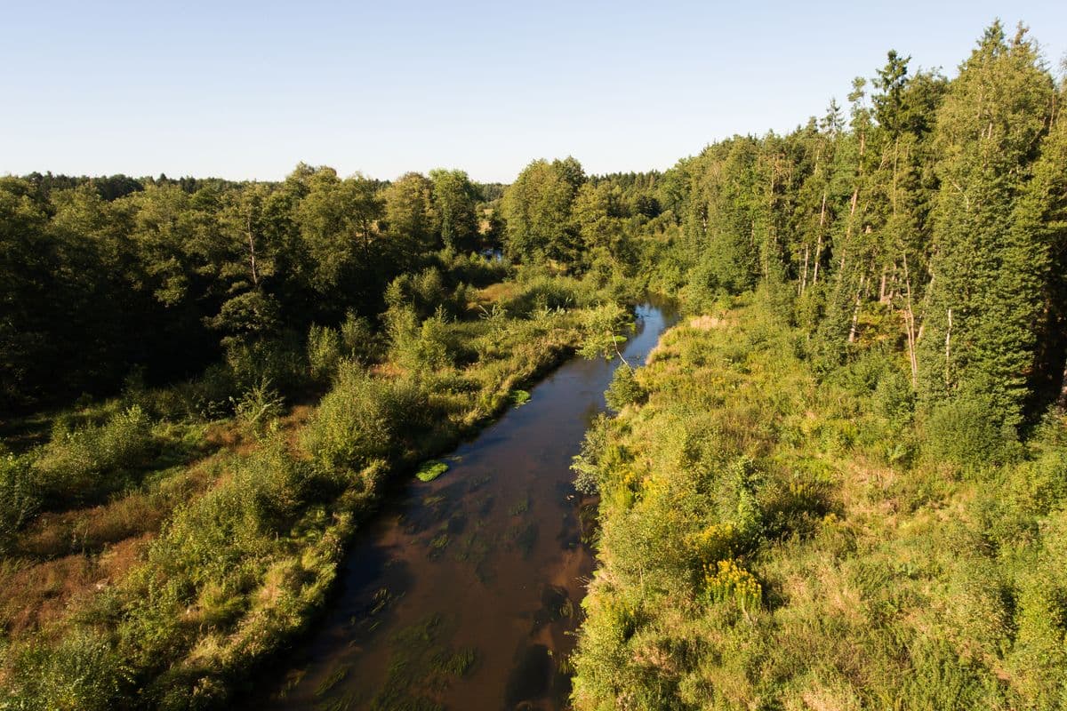 Heidefluss Örtze