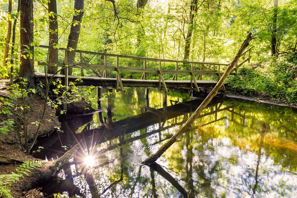 Fluss-Wald-Erlebnispfad entlang der Örtze