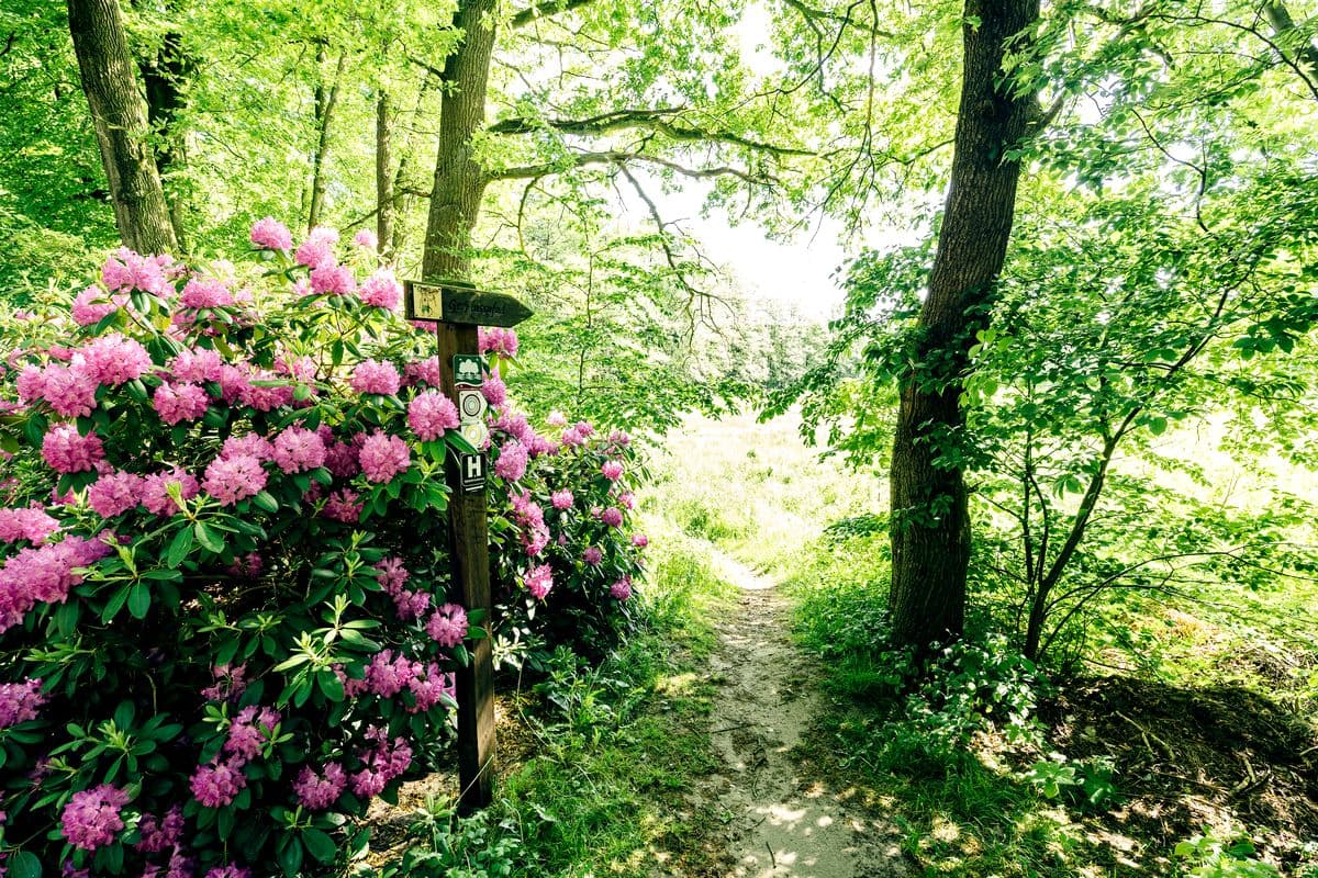 Fluss-Wald-Erlebnispfad entlang der Örtze